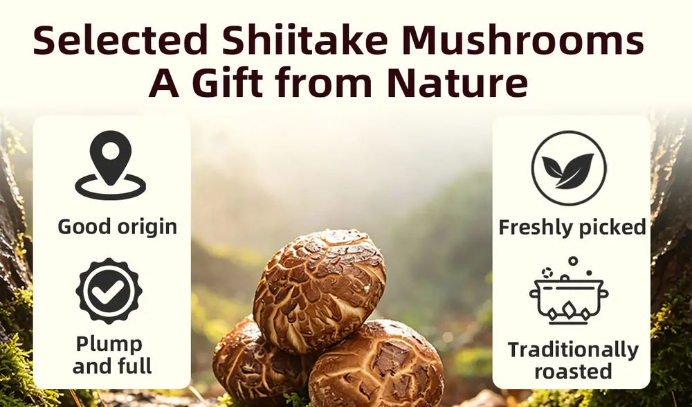 Shiitake Mushroom Sauce 详情图 6